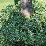 Rama Апартаменты