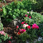 Rama Апартаменты Пореч