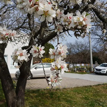 Rama Apartman Poreč