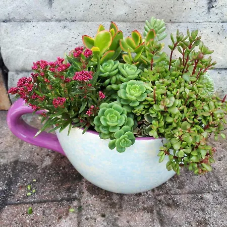 Апартаменти Rama Пореч