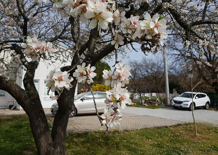 Rama Apartman Poreč