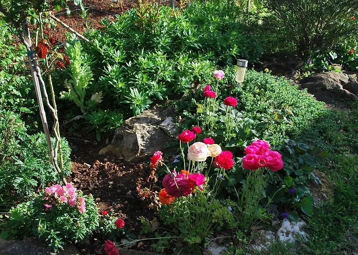 Rama Apartman Poreč