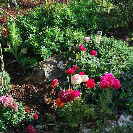 Rama Apartment Porec