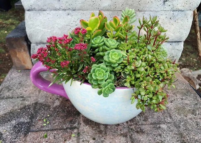 Apartment Rama Poreč